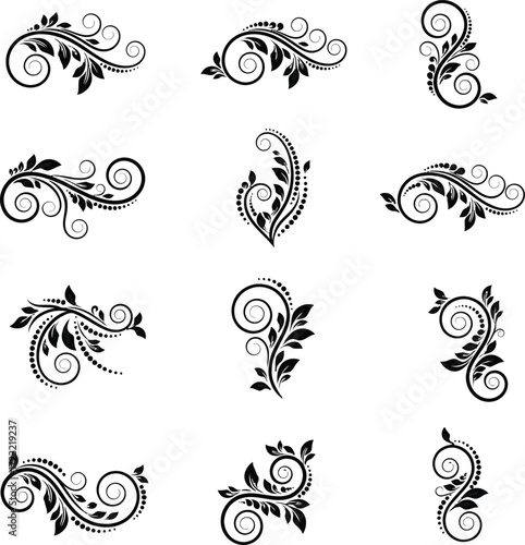 Collection of elegant black floral ornamental swirls and decorative flourishes for design elements