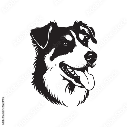 Australian Shepherd Dog Portrait Black and White Silhouette