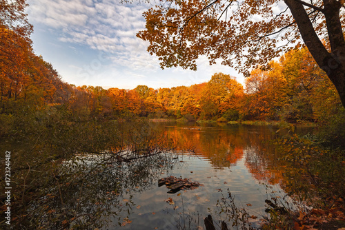 Novoyasenevsky pond in October, autumn trees reflected in water, Moscow
