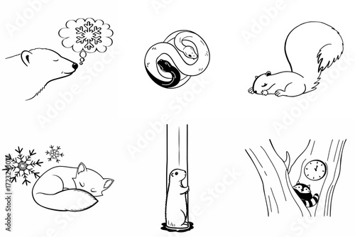 Black and white sketches of winter animal sleep: It's like an illustrated encyclopedia of hibernation, where everyone will find their own way to wait out the cold.