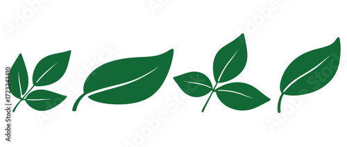 WebFresh green leaves bring a vibrant botanical touch to your designs, ideal for eco-friendly projects, natural health brands, and organic food packaging with a clean, minimalist aesthetic