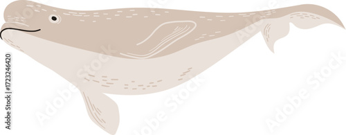 A tan cartoon sperm whale illustration