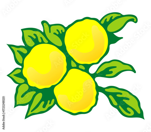 Lemon fruits and leaves. Illustration on a white background