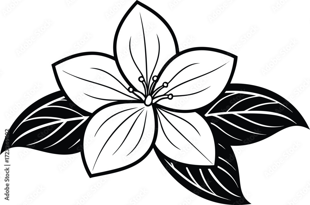 Fototapeta premium Trillium Botanical Illustration. Realistic Trillium Flower Artwork. Elegant Trillium Bloom Design. Isolated Trillium Plant Drawing. Decorative Trillium Garden Artwork. Wild Trillium Nature