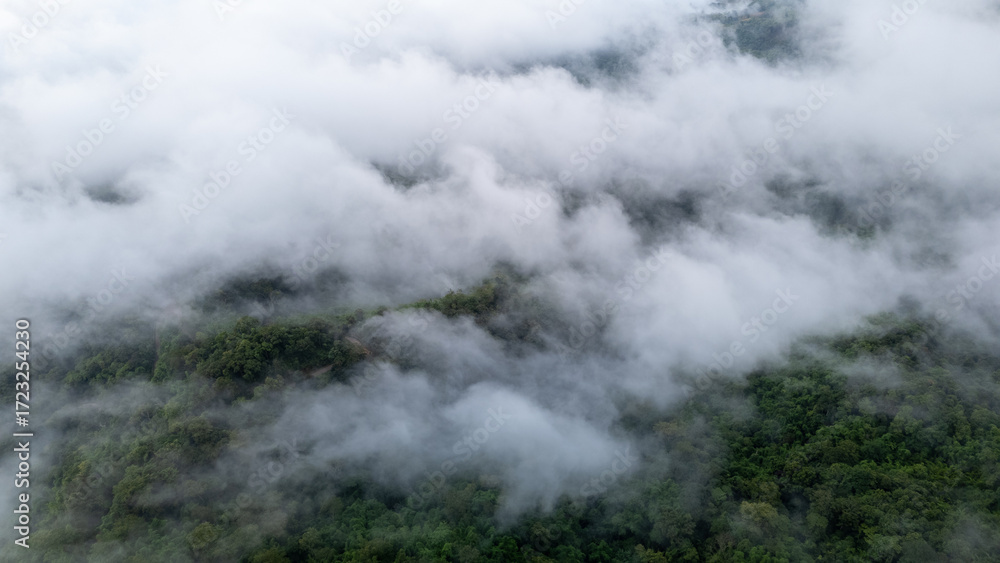 Obraz premium Aerial of Village in rain cloud cover tropical green mountain. Rainy season. Misty cover green forest. beautiful green village