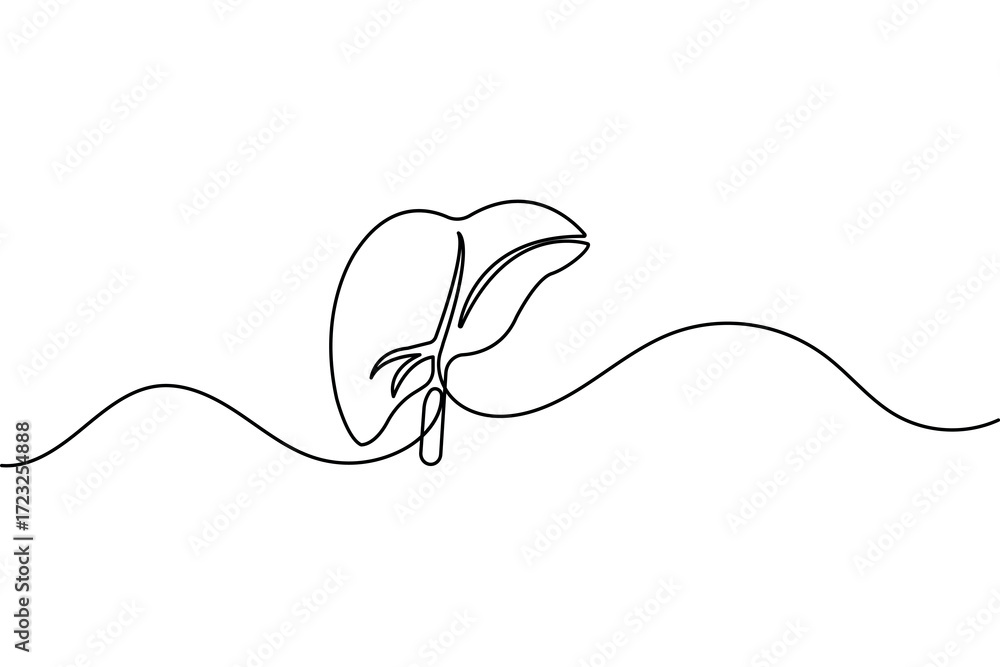 Obraz premium Continuous one line drawing of liver anatomy minimalist design isolate organ outline vector illustration