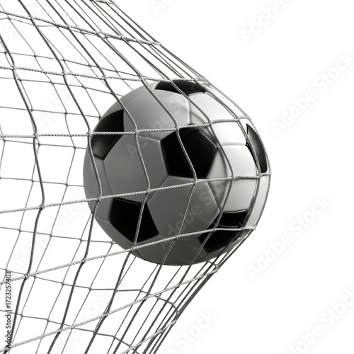 Soccer Ball in Net
