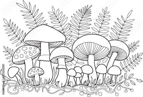 Botanical Mushroom Illustration with Fern Leaves – Detailed Nature Line Drawing for Design and Decor
