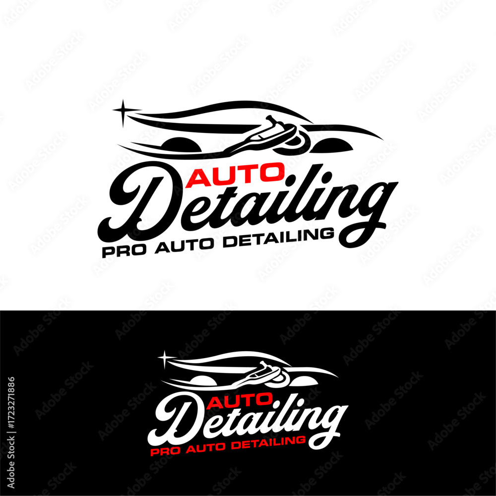 Obraz premium Car Logo Automotive Auto Detailing Logo Car Wash Sign Service Automobile Logo Vector