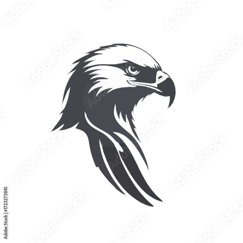 eagle vector illustration