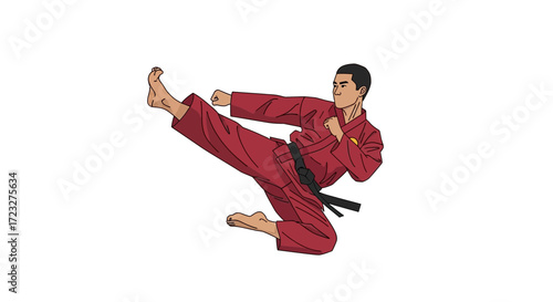 Dynamic Karate Kick Illustration on White Background, Martial Arts Stance