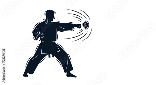 Dynamic silhouette of a martial artist executing a powerful punch skill