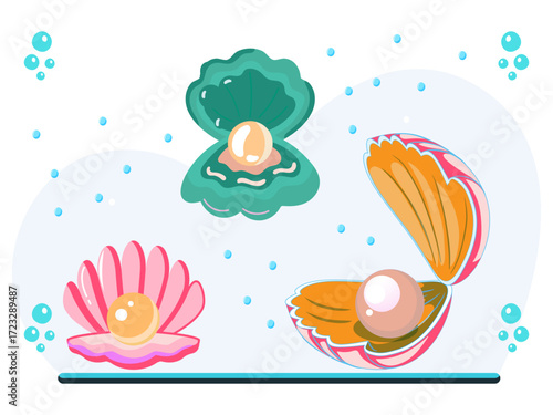 Clam Concept Illustration Vector Style