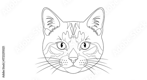 Detailed Line Drawing of a Cats Face with Expressive Eyes.