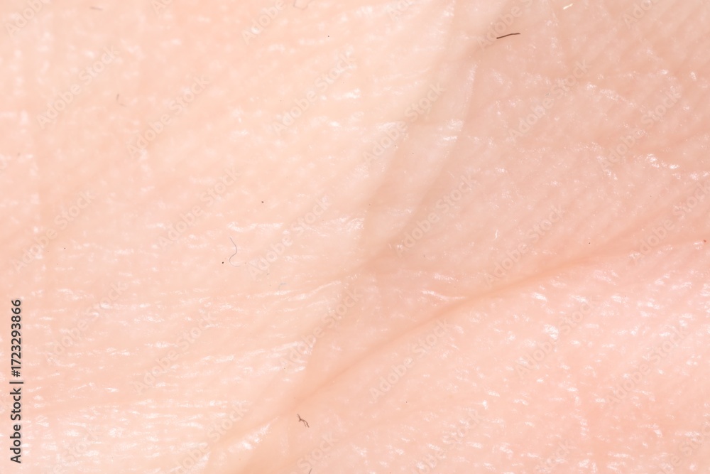 Fototapeta premium Human skin, closeup view. Detailed texture of surface