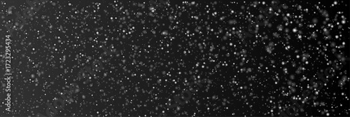 Vector snow isolated on black background.