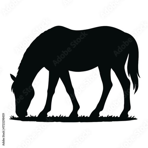 Silhouette horse grazing on grass peaceful animal nature scene