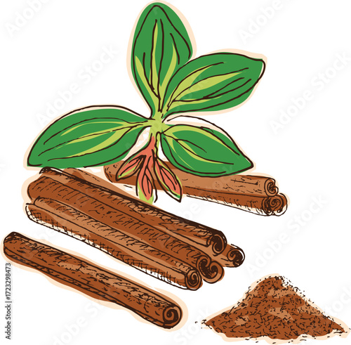 vector illustration of cinnamon