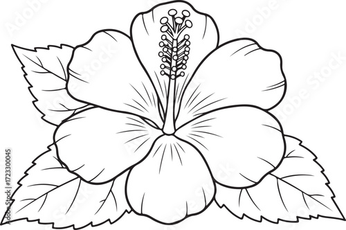 Vector art of line art illustration of a hibiscus flower with leaves