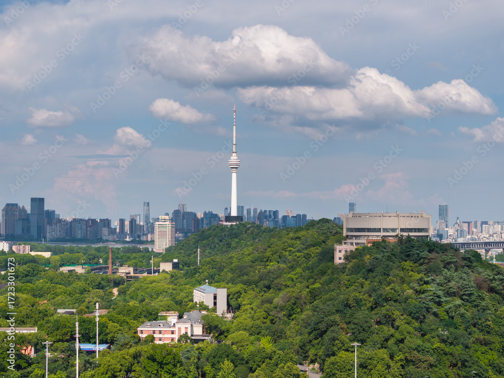 Obraz premium Wuhan city landmark skyline scenery