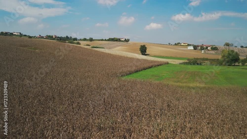 Aerial view, taken by a drone, of the hills, villages and vineyards of Monferrato Region. Monferrato is an hilly area in Piedmont Region (Northen Italy), world famous for wines making and UNESCO Site.