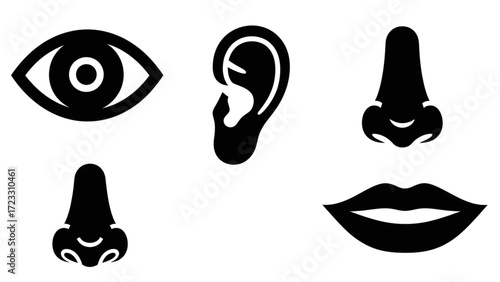 Iconic human senses represented by stylized eye ear nose and mouth symbols for medical or communication concepts