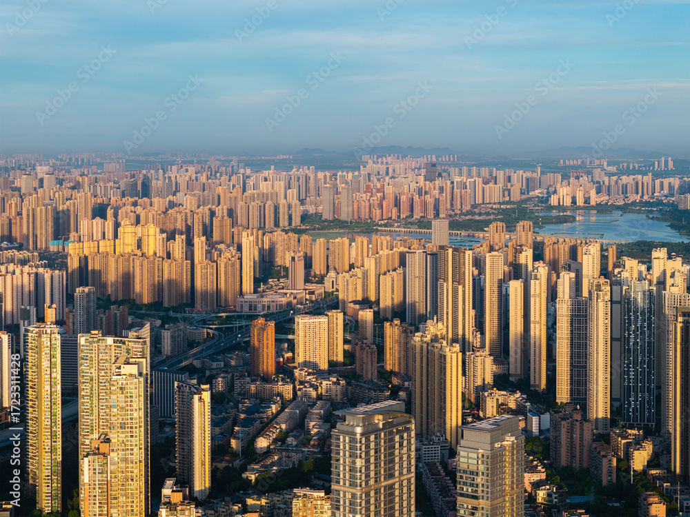 Fototapeta premium Wuhan city landmark skyline scenery