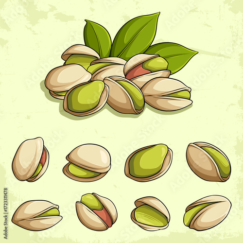 Hand drawn pistachio nut collection with kernels, shells, and green leaves, Natural fresh snack set isolated
