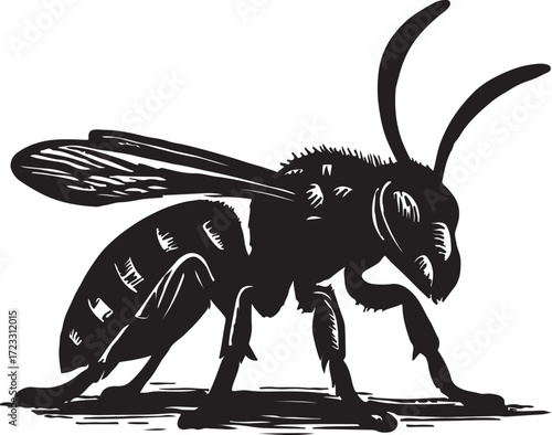 Detailed black and white woodcut illustration of a solitary wasp with intricate wing and body markings standing on a textured surface