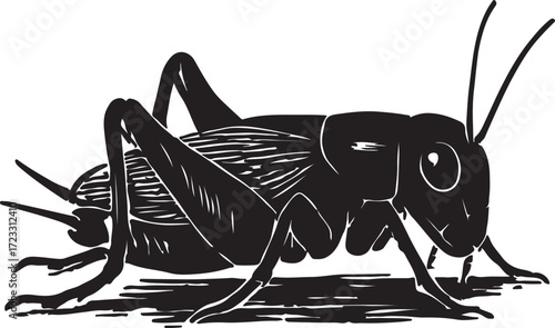 Detailed black and white woodcut style illustration of a cricket insect with intricate details and shadow