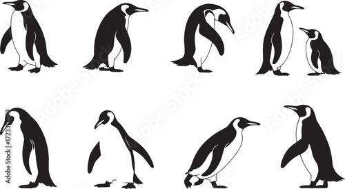 Emperor and King Penguin Silhouettes Vector Set: Antarctic Wildlife, Birds, and Marine Animal Graphics

