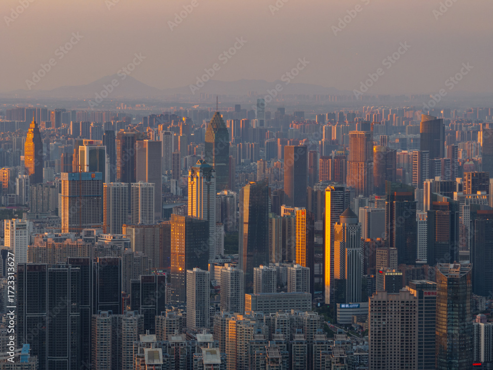 Fototapeta premium Wuhan city landmark skyline scenery
