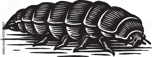 Detailed black and white woodcut illustration of a pill bug or roly poly insect curled up on a white background
