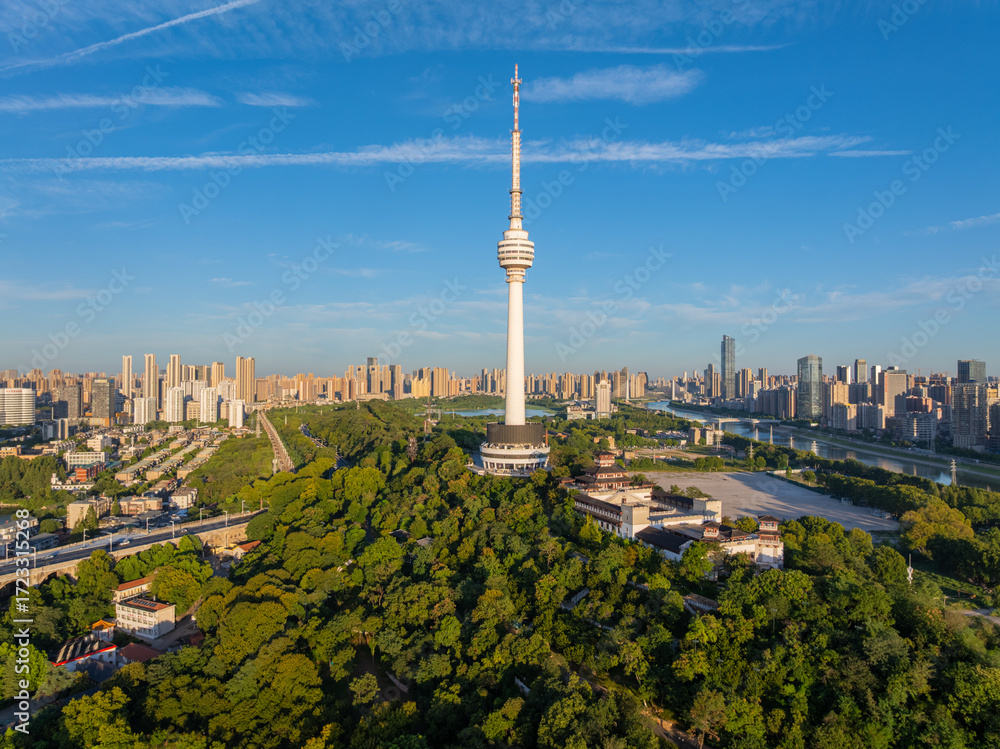 Obraz premium Wuhan city landmark skyline scenery
