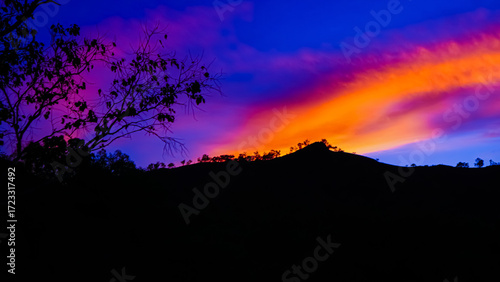 silhouette of trees and blue sky at sunset