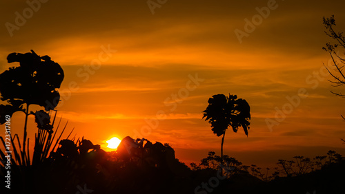 The sun began to set and the trees became silhouettes.