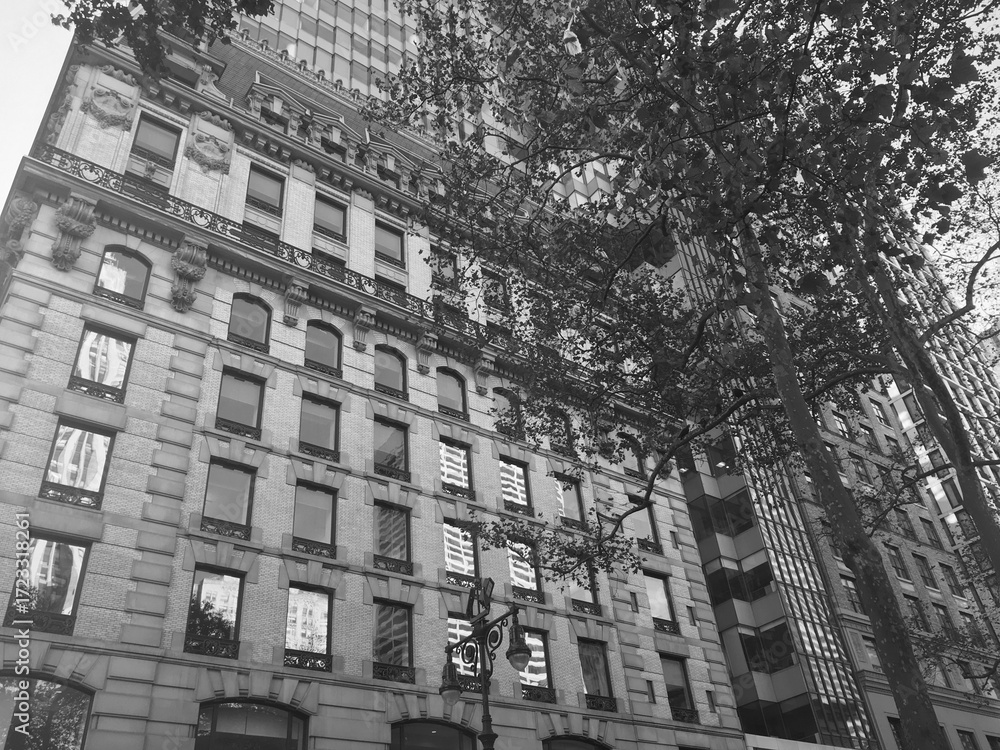 Fototapeta premium New York city buildings and skyscrapers. Urban life in a cosmopolitan ciry