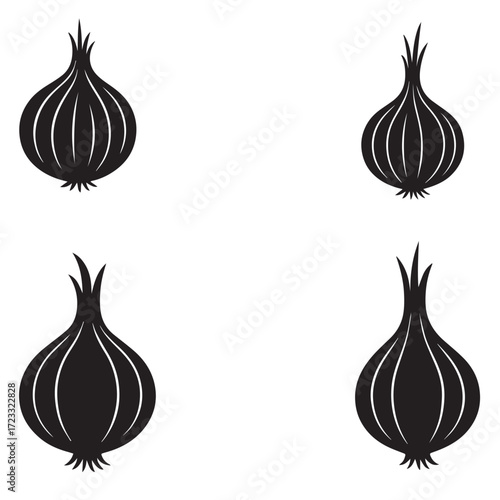 Onion  silhouette on vector with white background