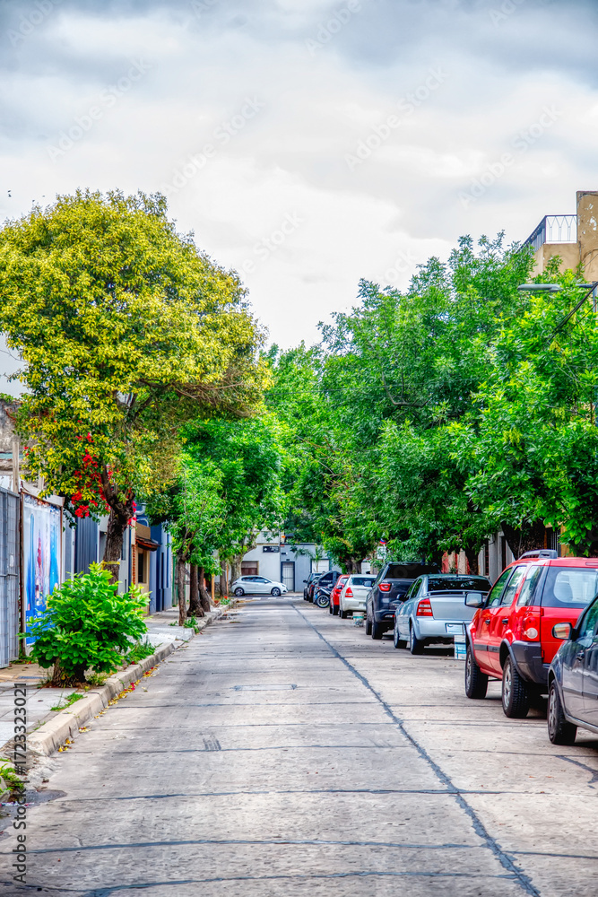 Naklejka premium street in the city