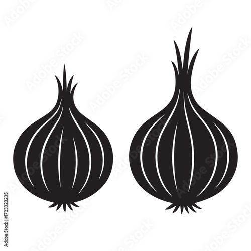 Onion  silhouette on vector with white background