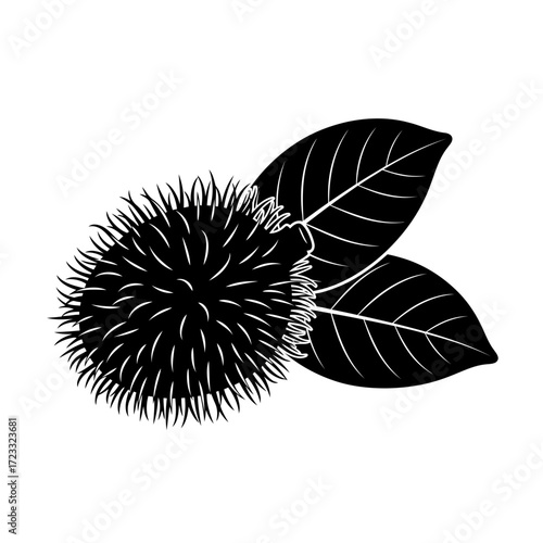 Spiky fruit with leaves silhouette isolated on white background