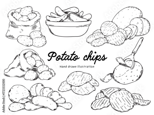 set of  hand drawn potato chips, raw and cut potatoes outline drawing illustration