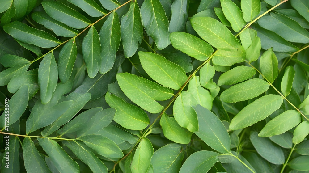 Fototapeta premium Lush Green Leaves Natural Background Texture foliage