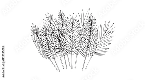 Detailed outline of a lush bunch of pine needles silhouette