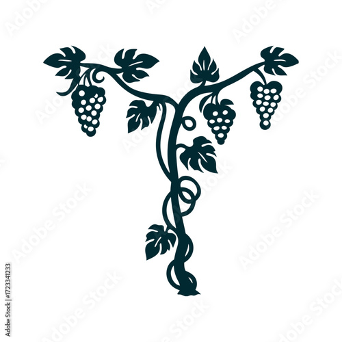 Grapevine Silhouette with Grapes and Tendrils Grapevine Twisting vine with clustered grapes and curled tendrils in rich burgundy