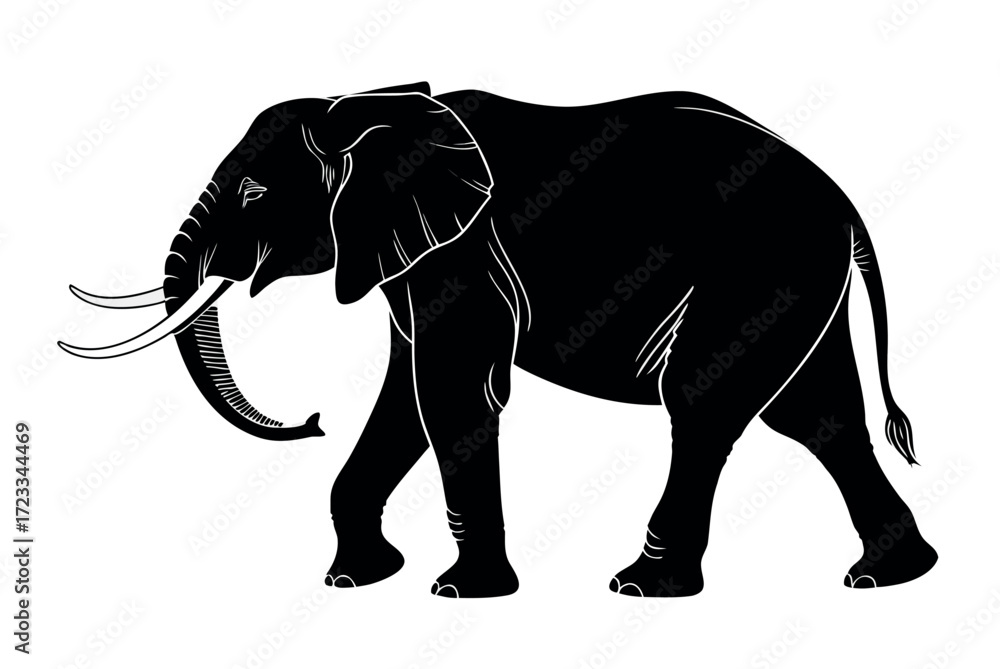 Fototapeta premium elephant isolated on white background