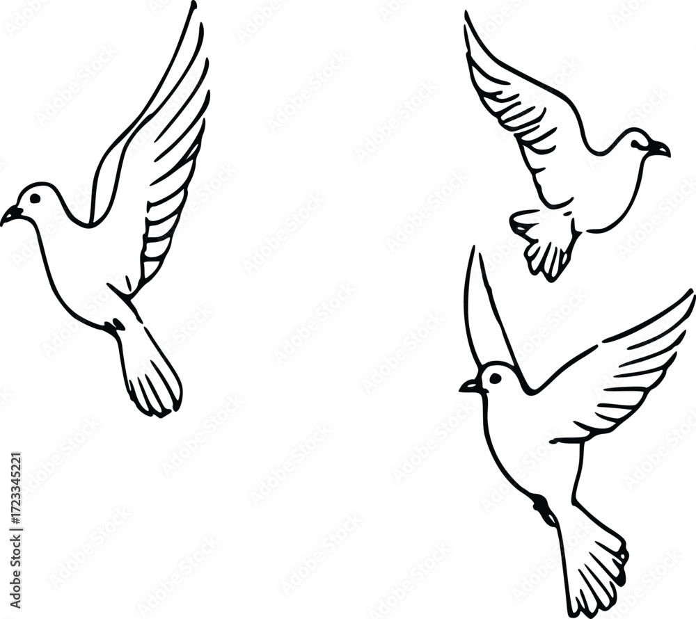 Fototapeta premium Elegant Dove Line Drawing
