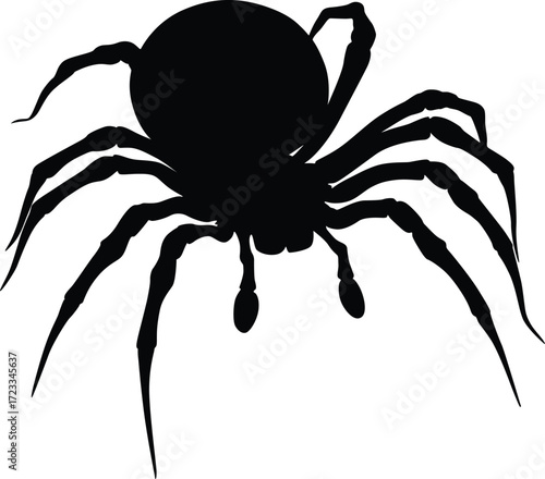 Spider Silhouette Vector | Creepy Insect Illustration for Halloween and Nature Designs