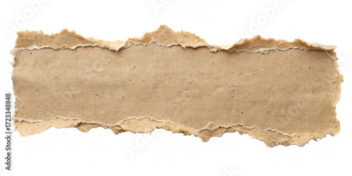 Wallpaper Mural ripped torn paper edges isolated with clipping path on white background ,PNG. AI Generated Torontodigital.ca