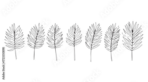 A row of detailed pine needle clusters in a delicate line drawing silhouette